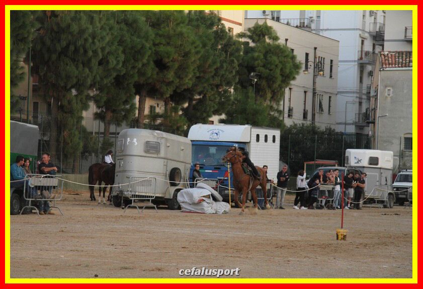 161106 equestre 064_tn.jpg